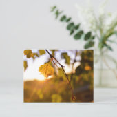 Blätter bei Sonnenuntergang Postkarte (Stehend Vorderseite)