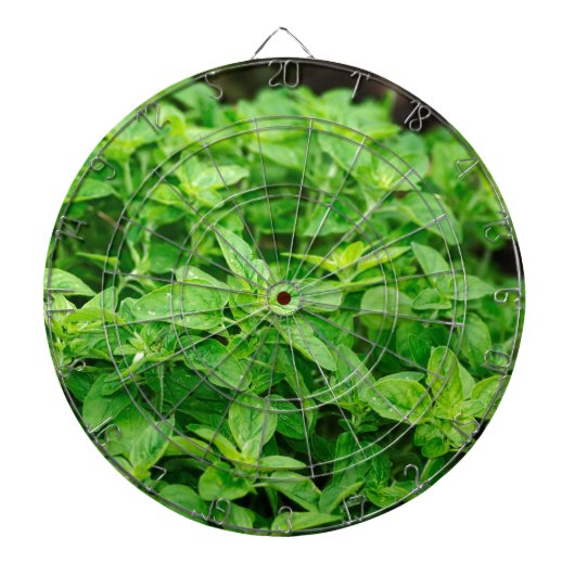 Blätter Dartscheibe (vorne)