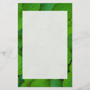 Blätter der Heiligen Basil Tulsi Grüne Münze Briefpapier