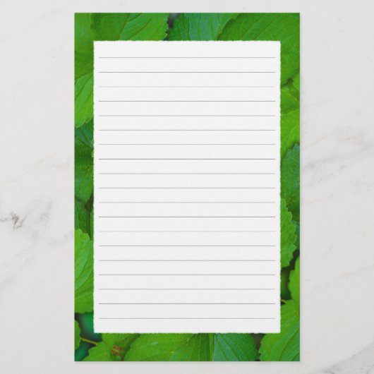 Blätter der Heiligen Basil Tulsi Grüne Münze Briefpapier (Vorderseite)