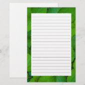 Blätter der Heiligen Basil Tulsi Grüne Münze Briefpapier (Vorne/Hinten)