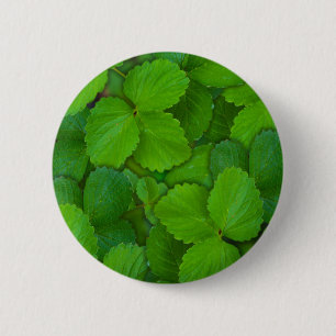 Blätter der Heiligen Basil Tulsi Grüne Münze Button