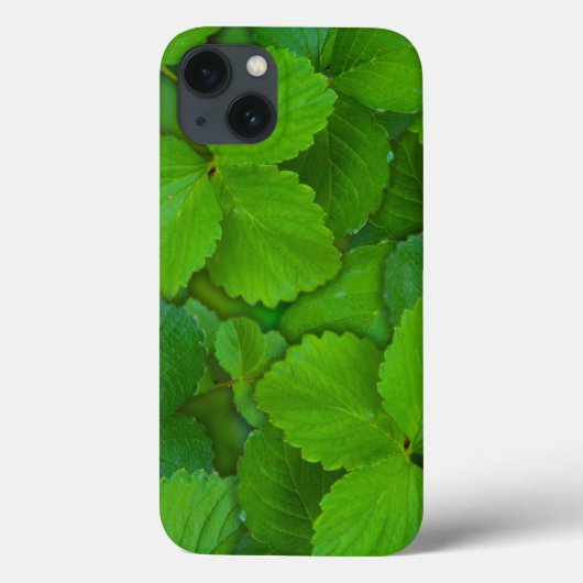 Blätter der Heiligen Basil Tulsi Grüne Münze Case-Mate iPhone Hülle (Rückseite)