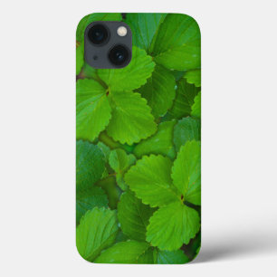Blätter der Heiligen Basil Tulsi Grüne Münze Case-Mate iPhone Hülle