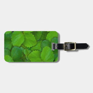 Blätter der Heiligen Basil Tulsi Grüne Münze Gepäckanhänger