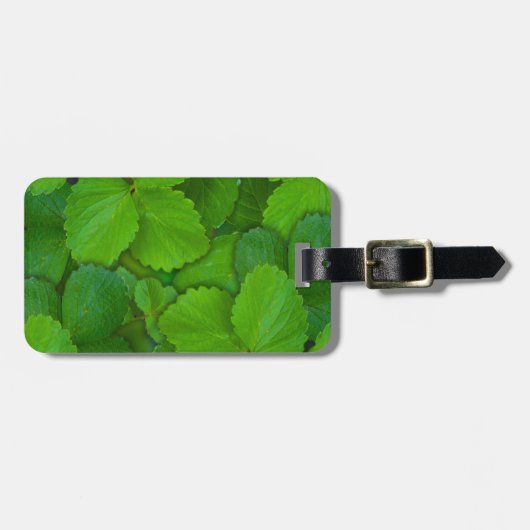 Blätter der Heiligen Basil Tulsi Grüne Münze Gepäckanhänger (Vorderseite horizontal)