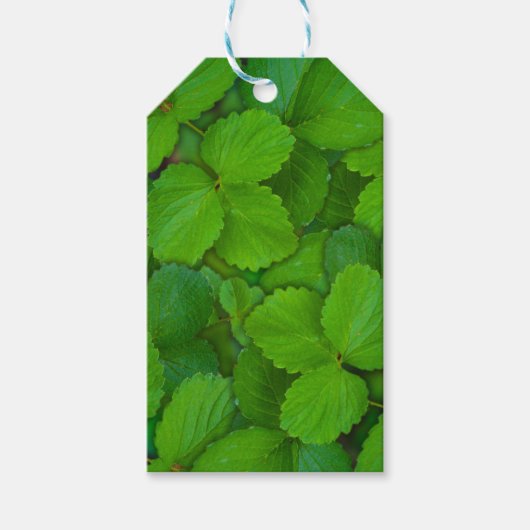 Blätter der Heiligen Basil Tulsi Grüne Münze Geschenkanhänger (Vorderseite)