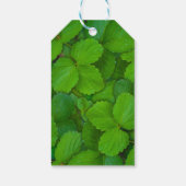 Blätter der Heiligen Basil Tulsi Grüne Münze Geschenkanhänger (Rückseite)