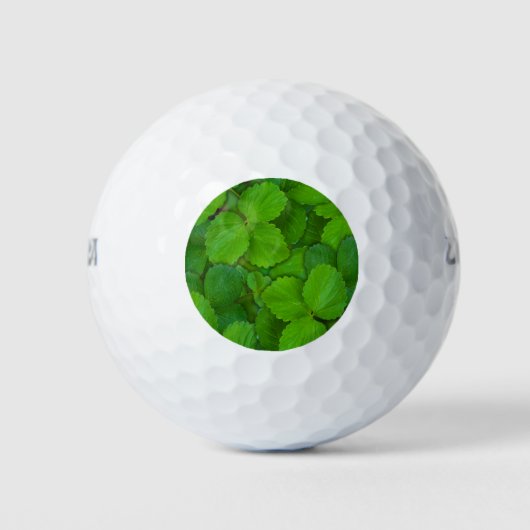 Blätter der Heiligen Basil Tulsi Grüne Münze Golfball (Vorderseite)