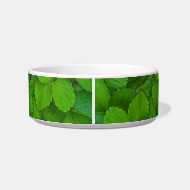 Blätter der Heiligen Basil Tulsi Grüne Münze Napf (Rückseite)