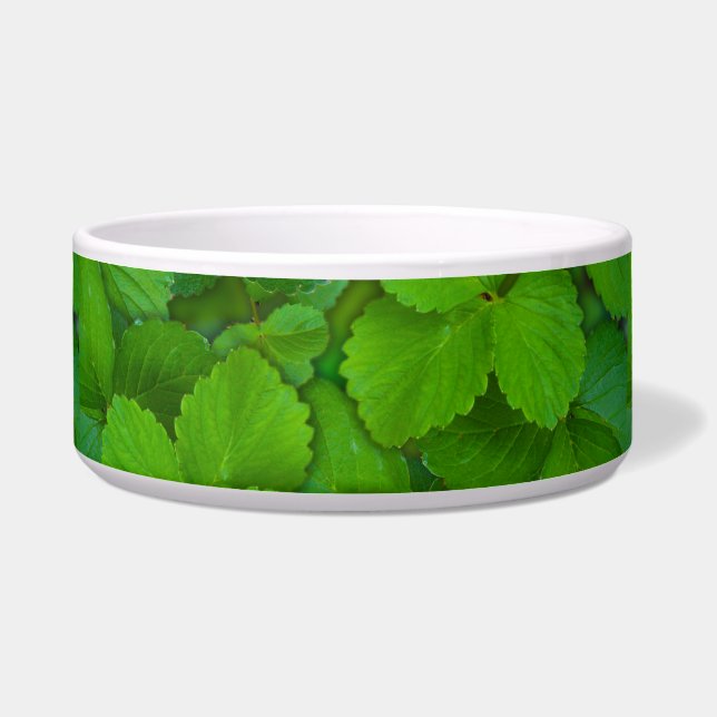 Blätter der Heiligen Basil Tulsi Grüne Münze Napf (Vorderseite)