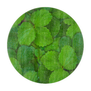 Blätter der Heiligen Basil Tulsi Grüne Münze Schneidebrett