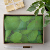 Blätter der Heiligen Basil Tulsi Grüne Münze Seidenpapier (Geschenk)