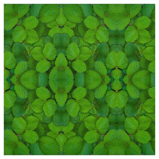 Blätter der Heiligen Basil Tulsi Grüne Münze Stoff (Muster)