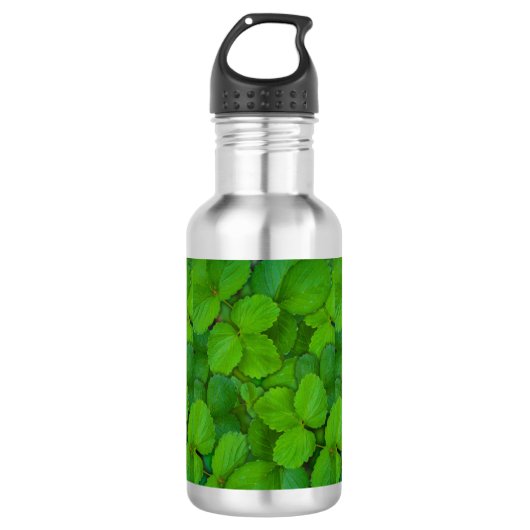 Blätter der Heiligen Basil Tulsi Grüne Münze Trinkflasche (Vorderseite)