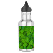 Blätter der Heiligen Basil Tulsi Grüne Münze Trinkflasche (Links)