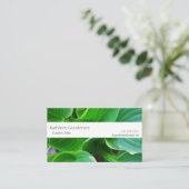 Blätter der hosta-Pflanze Visitenkarte (Stehend Vorderseite)