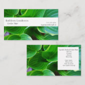 Blätter der hosta-Pflanze Visitenkarte (Vorne/Hinten)