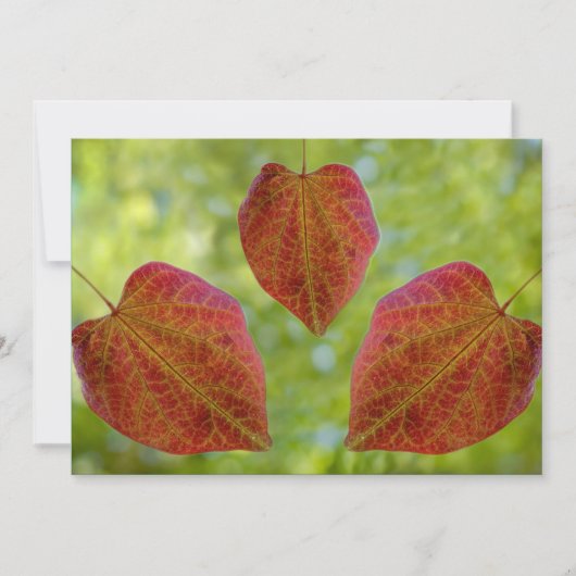 Blätter der Liebe der Natur Dankeskarte (Vorderseite)