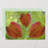 Blätter der Liebe der Natur Dankeskarte (Vorne/Hinten)