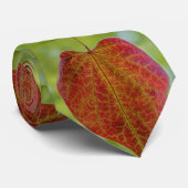 Blätter der Liebe der Natur Krawatte (Gerollt)