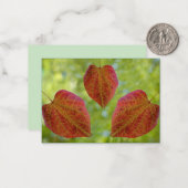 Blätter der Liebe der Natur Mitteilungskarte (Vorderseite/Rückseite Beispiel)