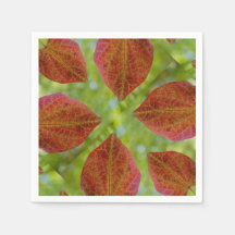 Blätter der Liebe der Natur