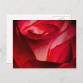Blätter der rote Rose Postkarte (Vorne/Hinten)