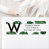 Blätter der Schweizer Pflanze Tropical Hand Painte (Insitu)