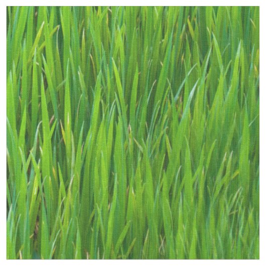 Blätter des Grases Stoff (Nahaufnahme)