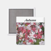 Blätter des Herbstes Magnet (Vorderseite/Rückseite)