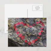 Blätter, die Herzform bilden Postkarte (Vorne/Hinten)