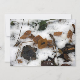 Blätter, die in der Schneeurlaubskarte liegen Feiertagskarte