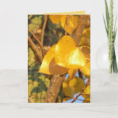 Blätter, die sprechen karte (Vorderseite)