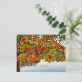 Blätter drehen postkarte (Stehend Vorderseite)