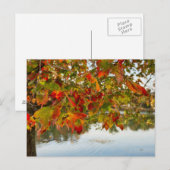 Blätter drehen postkarte (Vorne/Hinten)