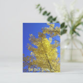 Blätter, Eichenbach, Sedona, AZ Postkarte (Stehend Vorderseite)