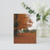 Blätter fallen auf Postkarte (Stehend Vorderseite)