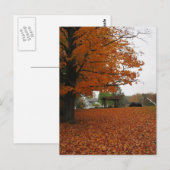 Blätter fallen auf Postkarte (Vorne/Hinten)