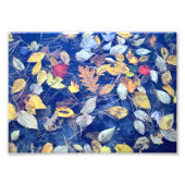 Blätter Fotodruck (Vorne)