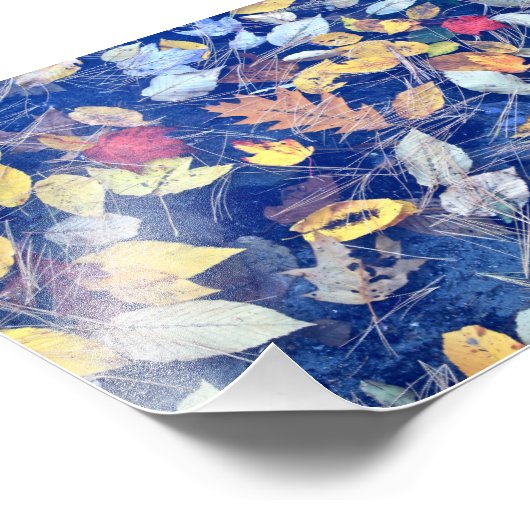 Blätter Fotodruck (Ecke)