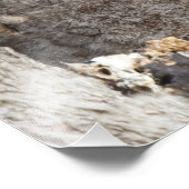 Blätter Fotodruck (Ecke)