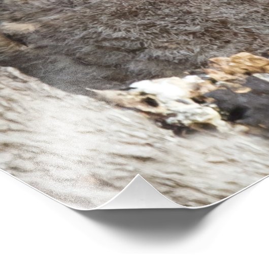 Blätter Fotodruck (Ecke)