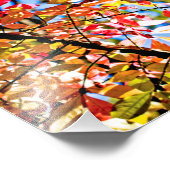 Blätter Fotodruck (Ecke)