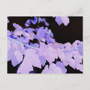 Blätter~ Fotografie von Lauren Perry~ Postkarte