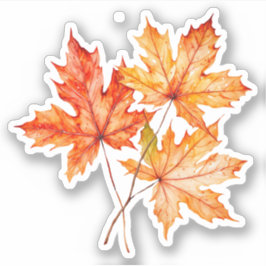 Blätter für Aquarellmaple Aufkleber