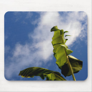 Blätter für Banana Tree Mousepad