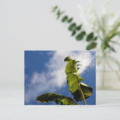 Blätter für Banana Tree Postkarte (Stehend Vorderseite)