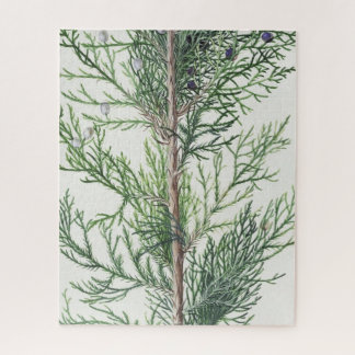 Blätter für Baumzweige nicht möglich Puzzle