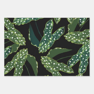 Blätter für botanisches Gepunktet Begonia